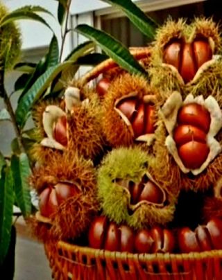 김석(휴대폰.인터넷매장)님의 자유주제 · 자유게시판 작성글 사진