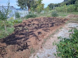 이호형님의 마늘 · 영농일지 작성글 사진