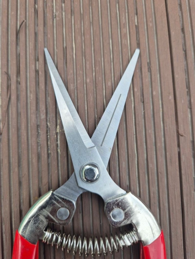 전순덕.동신유통님의 장터 판매 상품 [다목적 가위 1+1 2개] 첨부 사진