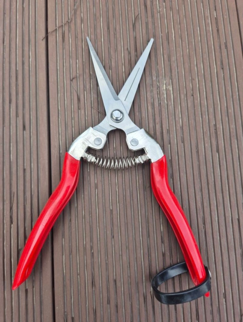 전순덕.동신유통님의 장터 판매 상품 [다목적 가위 1+1 2개] 첨부 사진