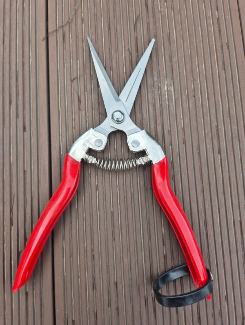 조수철님의 장터 판매 상품 [다목적가위 1+1 2개] 첨부 사진