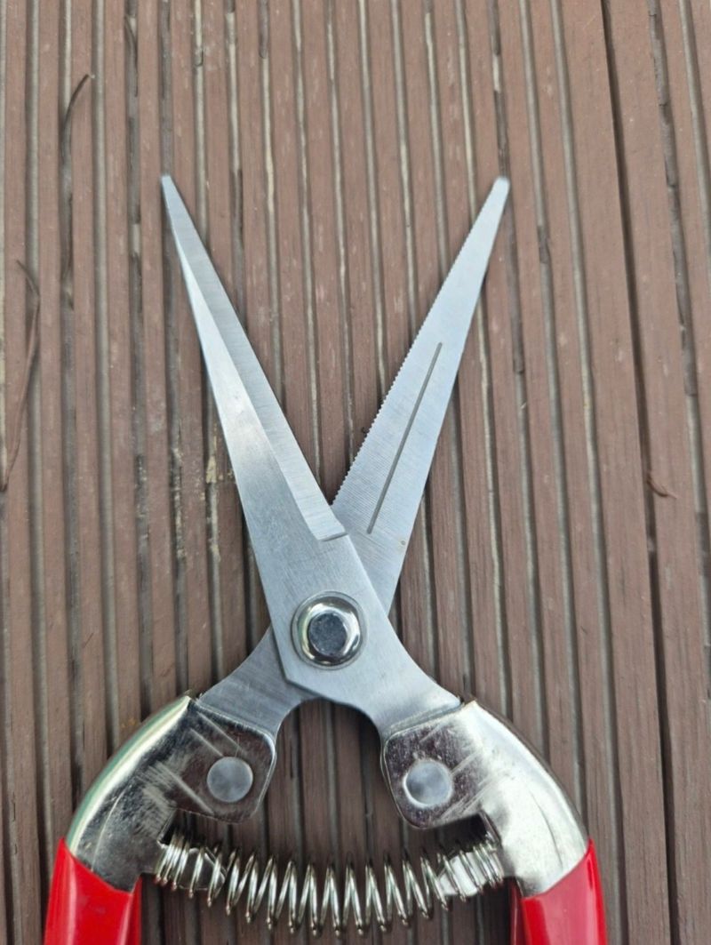 조수철님의 장터 판매 상품 [다목적가위 1+1 2개] 첨부 사진