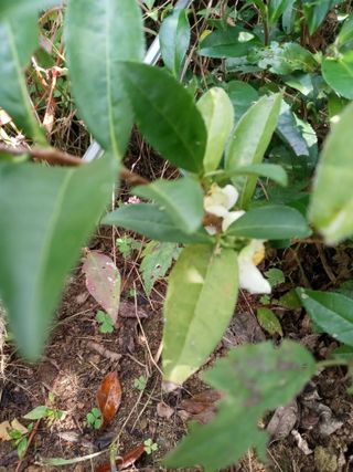 두릅나무16580님의 자유주제 · 자유게시판 작성글 사진