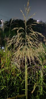 팜모닝 자유주제·자유게시판 게시글 이미지