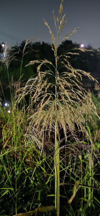 홍천 손춘목 님의 자유주제 · 자유게시판 작성글 사진
