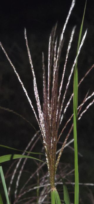 홍천 손춘목 님의 자유주제 · 자유게시판 작성글 사진