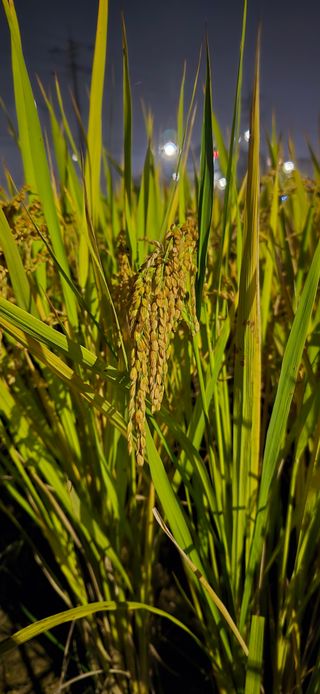 홍천 손춘목 님의 자유주제 · 자유게시판 작성글 사진
