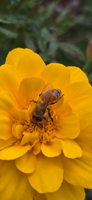 홍천 손춘목 님의 자유주제 · 자유게시판 작성글 사진