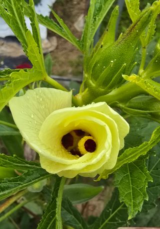 홍천 손춘목 님의 자유주제 · 자유게시판 작성글 사진