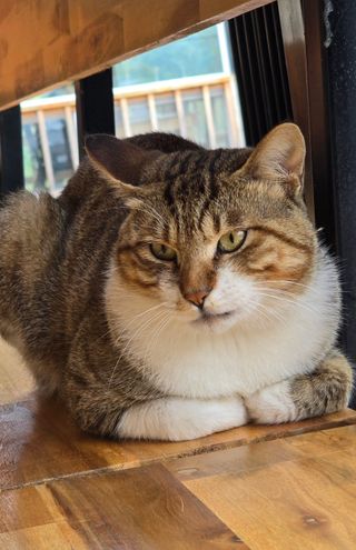 홍천 손춘목 님의 자유주제 · 자유게시판 작성글 사진