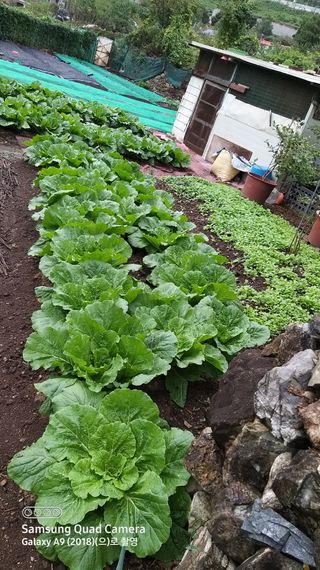 김한일(유랑자)님의 자유주제 · 자유게시판 작성글 사진