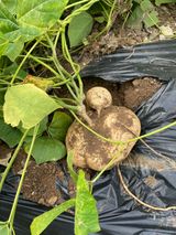 팜모닝 자유주제·자유게시판 게시글 이미지