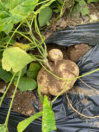 정연희님의 자유주제 · 자유게시판 작성글 사진