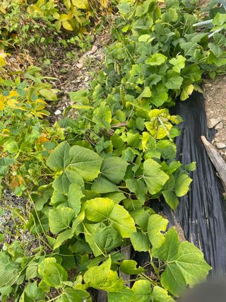 정연희님의 자유주제 · 자유게시판 작성글 사진