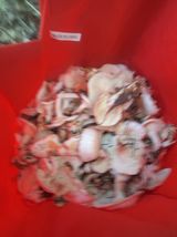 팜모닝 자유주제·자유게시판 게시글 이미지