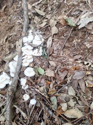 최승국님의 자유주제 · 자유게시판 작성글 사진