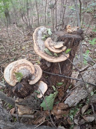 최승국님의 자유주제 · 자유게시판 작성글 사진