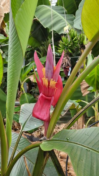 오영상님의 기타작물 · 영농일지 작성글 사진