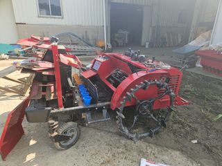 귀농 님의 마늘 · 영농일지 작성글 사진