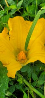 팜모닝 [팜춘문예] 짧은 시 쓰기| 2024·참여글 게시글 이미지