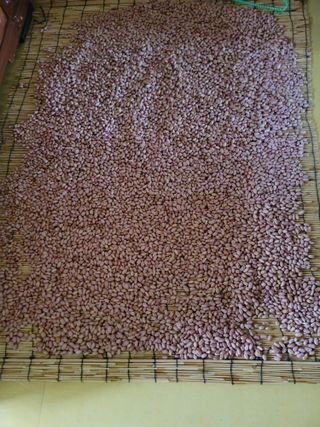 장기준님의 기타작물 · 영농일지 작성글 사진