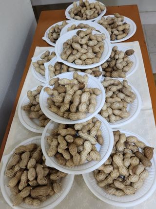 장기준님의 기타작물 · 영농일지 작성글 사진