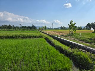 농막쥔님의 자유주제 · 자유게시판 작성글 사진