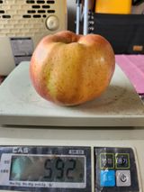 팜모닝 자유주제·사진전 게시글 이미지