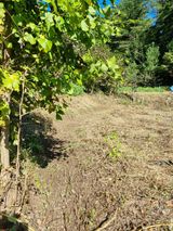 팜모닝 시금치·영농일지 게시글 이미지