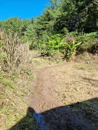 영자님의 시금치 · 영농일지 작성글 사진