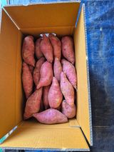 팜모닝 자유주제·자유게시판 게시글 이미지