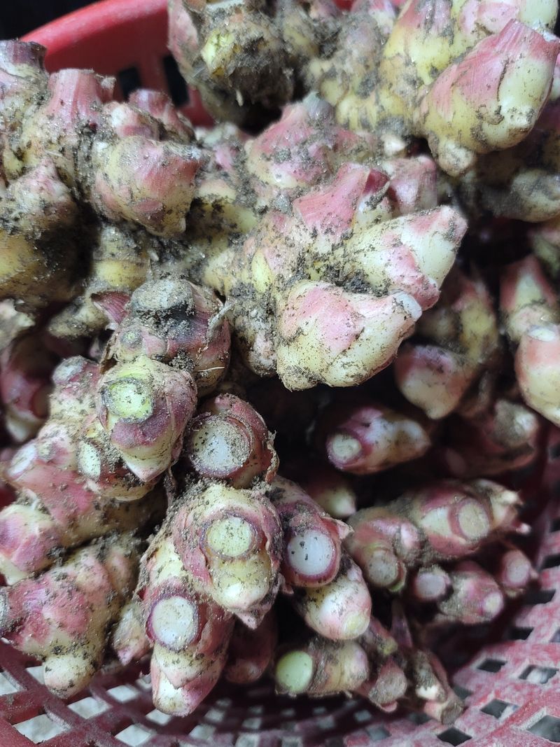 모두애님의 장터 판매 상품 [재고소진] 첨부 사진