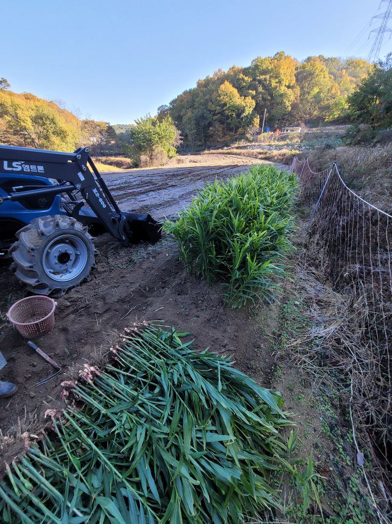 모두애님의 장터 판매 상품 [재고소진] 첨부 사진