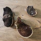 팜모닝 자유주제·자유게시판 게시글 이미지