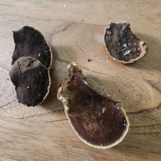 들깨님의 자유주제 · 자유게시판 작성글 사진