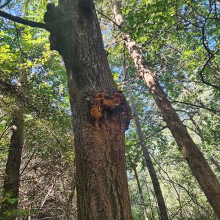 들깨님의 자유주제 · 자유게시판 작성글 사진