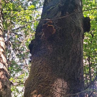 들깨님의 자유주제 · 자유게시판 작성글 사진