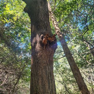 들깨님의 자유주제 · 자유게시판 작성글 사진