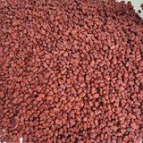 팜모닝 · 게시글 이미지