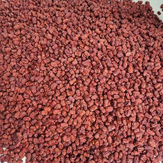 박동현님의 작성글 사진