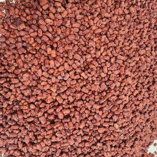 박동현님의 작성글 사진