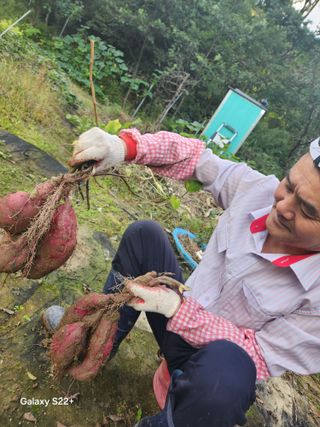 고영희님의 [팜춘문예] 짧은 시 쓰기| 2024 · 참여글 작성글 사진