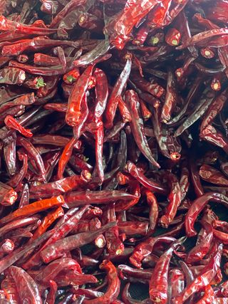 이민정님의 포도 · 자유게시판 작성글 사진