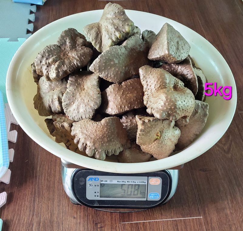 장터 상품 [열매마(하늘마) 3kg, 5kg] 썸네일