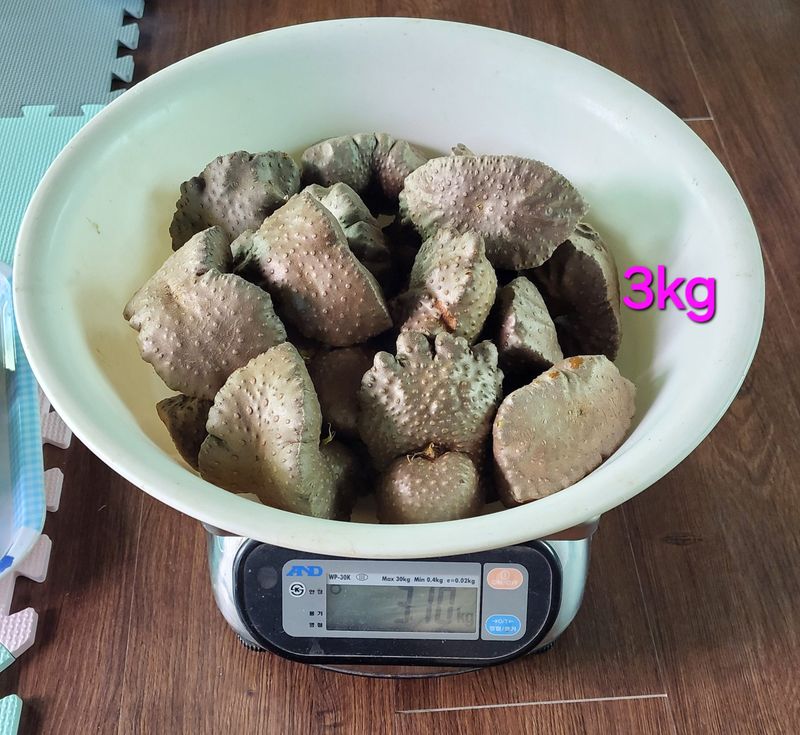 김중언님의 장터 판매 상품 [열매마(하늘마) 3kg, 5kg] 첨부 사진