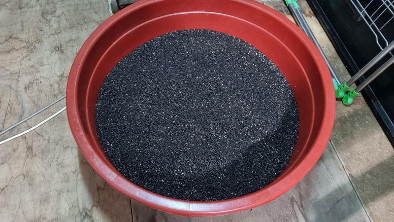 구복회,둥지산초농원님의 장터 판매 상품 [산초기름 ] 첨부 사진