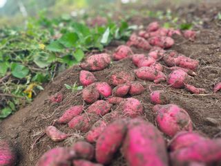 farmer님의 자유주제 · 자유게시판 작성글 사진