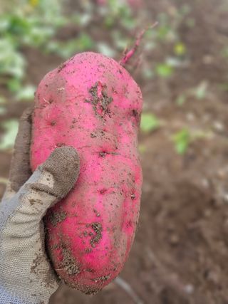 farmer님의 자유주제 · 자유게시판 작성글 사진