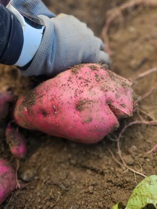 farmer님의 자유주제 · 자유게시판 작성글 사진