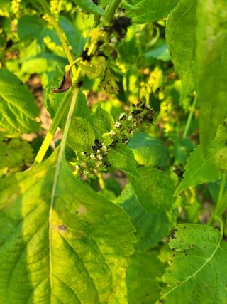 유경임님의 자유주제 · 자유게시판 작성글 사진